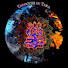 LSiHu-4yfyI-channel-avatar-Tarocchi Di Tara