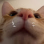 하냥