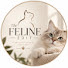 _QwGuK1vj4g-channel-avatar-The Feline Edit