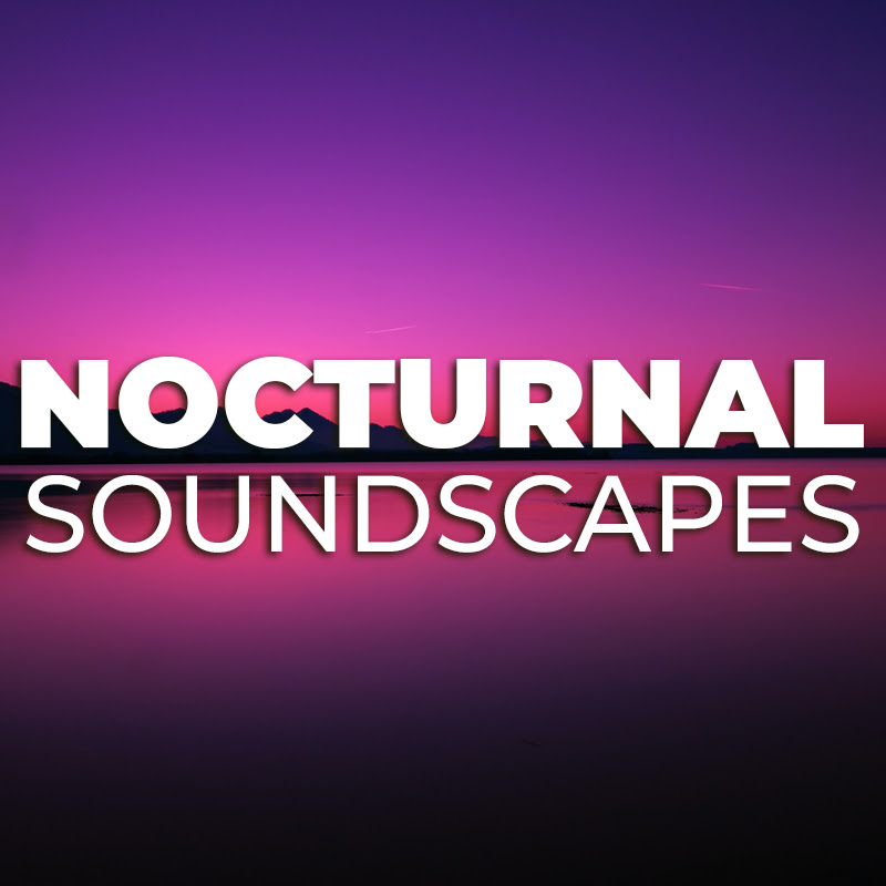 Nocturnal Soundscapes