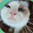@taesu_catjoy