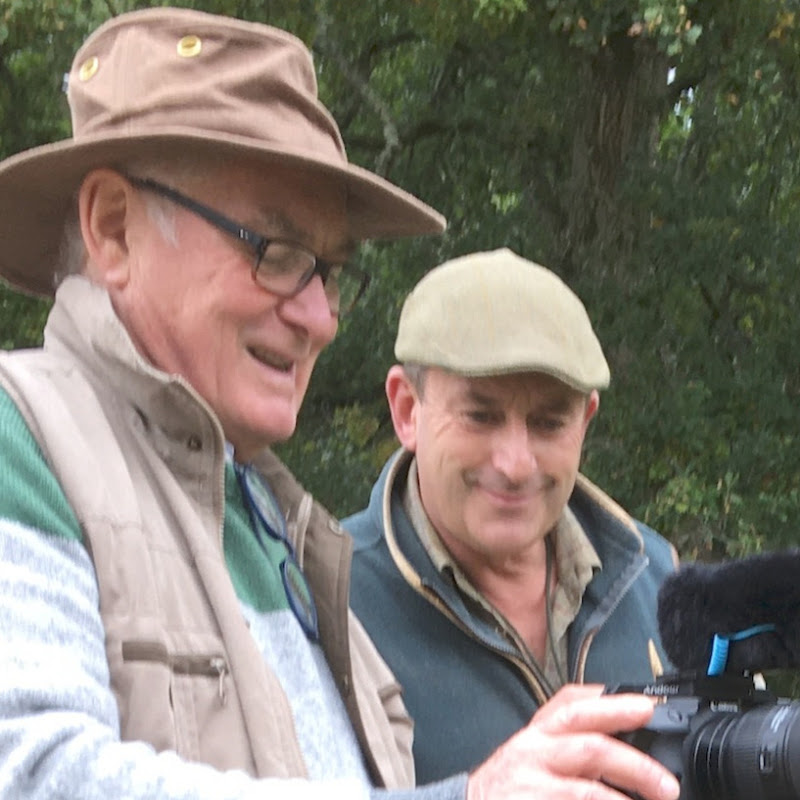 Dave Knowles - filmmaker Logo