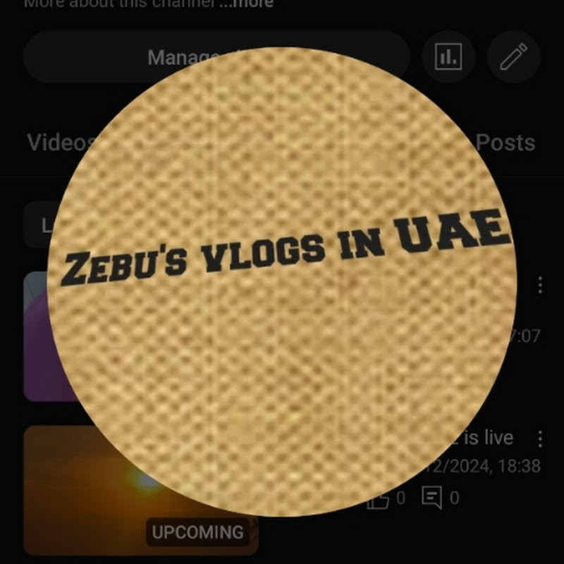 Zebu's vlogs in UAE