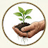vuAK1whik9I-channel-avatar-Practical Self-Sufficiency