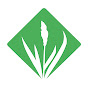 GRASS logo