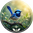 NlPPAN6F4Sc-channel-avatar-Birdora and 2 more