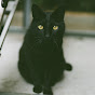 クロネコ写真機研究所~Black cat camera labo~