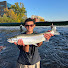 8Gw5RLIjiIc-channel-avatar-Caiden-Multispecies Fishing