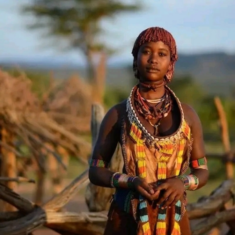 African life 0.6