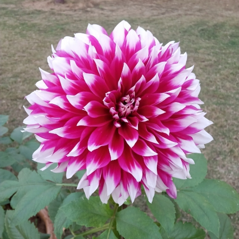 Hire Aditya Raj — Beauty & Fashion YouTube creator for sponsorships