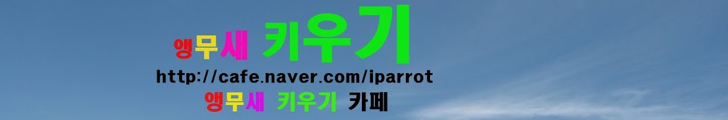 ì•µë¬´ìƒˆ í‚¤ìš°ê¸°Growing parrots YouTube-Kanal-Avatar