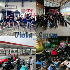 ヴィオラ_GSKY🐬