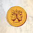 d8WNE5Xv_S0-channel-avatar-Real Romans