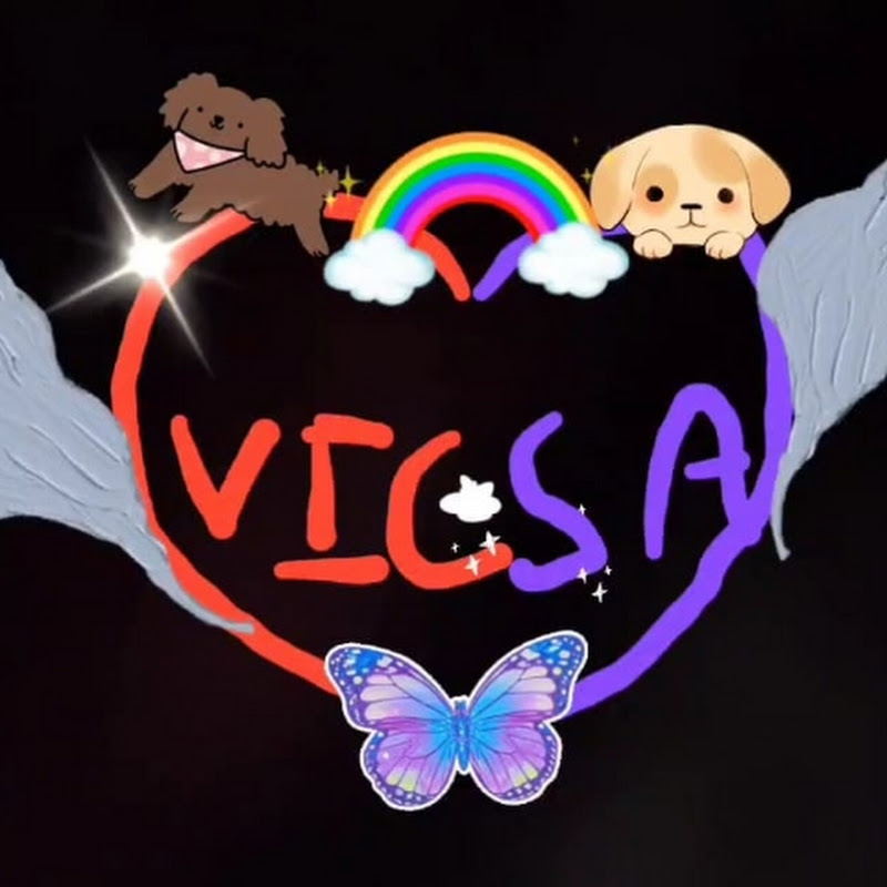 VICSA_fun
