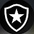 NOTÍCIAS DO BOTAFOGO OFICIAL 