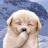 @자허블29