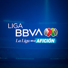 Linkinfours Futbolero Mx