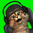 Vicb6c086Xo-channel-avatar-Lion The Cat