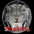 -NlQN8FuOfk-channel-avatar-Shrashira