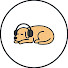 9erRIGOLv9A-channel-avatar-Dog Sleep Garden