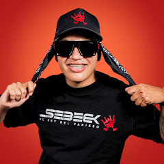 DJ Sebeck