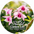 4YDuimxjvPs-channel-avatar-Peaceful Garden Life 