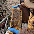eprrHUHfSZs-channel-avatar-Newland Nectar