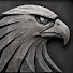 BRAmcEB8gsY-channel-avatar-Sturmreiter
