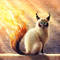 IALCh1NxeGY-channel-avatar-Дмитрий Котов