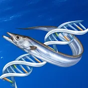 おさかなの生物学