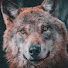 hN7a4M1Rl0w-channel-avatar-Dogman Barrance