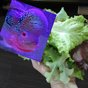 あたまるの水耕栽培大学