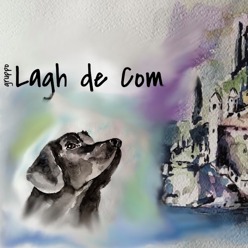 Gruppo Lagh de Com