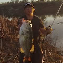 Damian Thao net worth