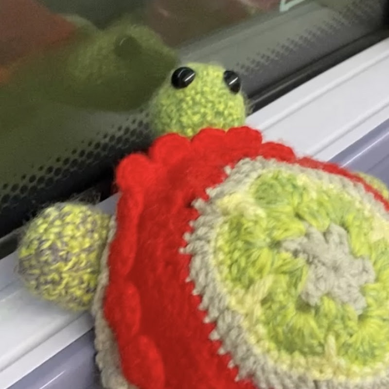 Travelling Turtle