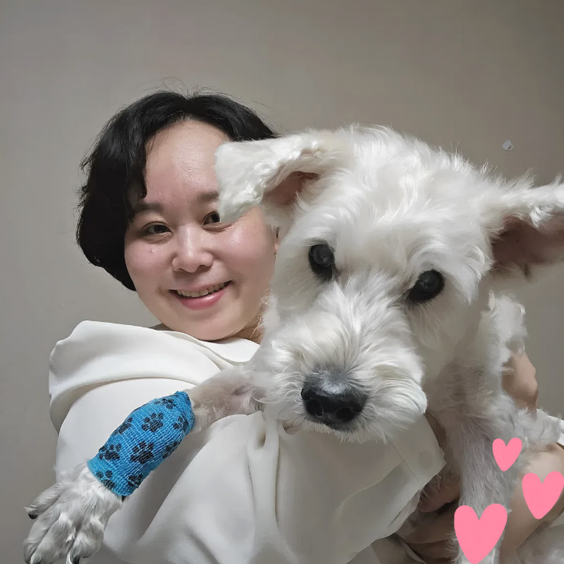 강아지언니,26년차 집사의 강아지 건강 정보 프로필