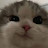 @sadenox