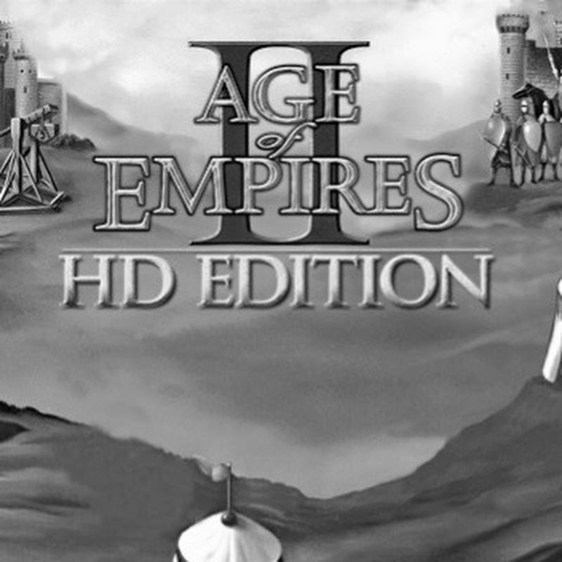 Age Of Empires 2 - VN