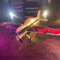 U0UinXVLiN8-channel-avatar-3D KIWI
