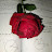 @MdMamun-sk2nv