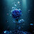 @aliand1871 Avatar