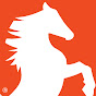 Stallion Infrastructure Services logo