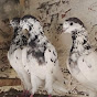 Ali Taqi pigeons  logo