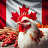 @acanadianchicken