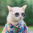 G27KnE-Z9QQ-channel-avatar-alittlemisfit52