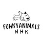 FunnyAnimals NHK