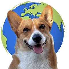 Worldwide Winston net worth