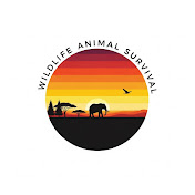Wildlife Animal Survival