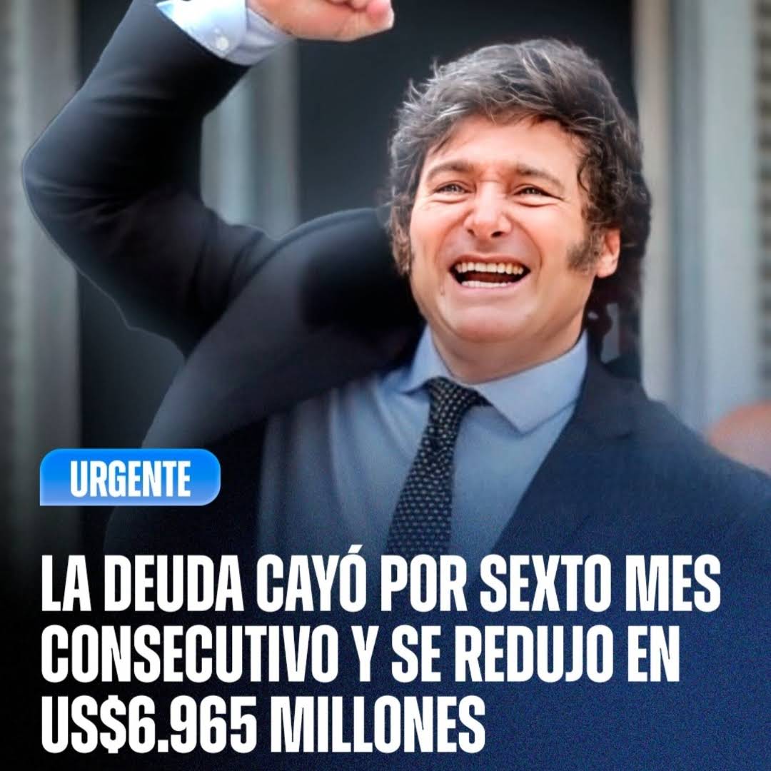 Cae la deuda externa neta de la Argentina