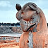 RsVpy183n-0-channel-avatar-Discovering City Treasures